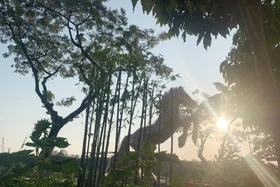 Nhiều linh vật năm Ngọ ở đường hoa đô thị hiện đại nhất TP HCM