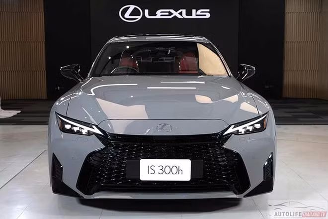 4-586.jpg