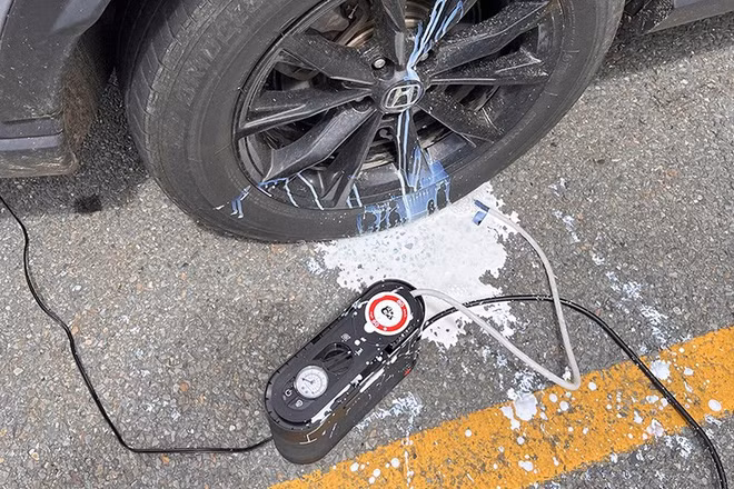 2-8574.jpg