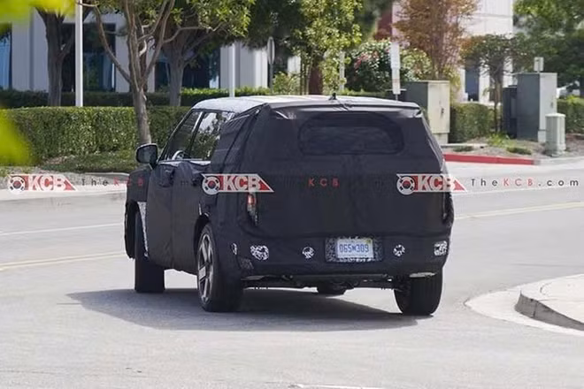 6-6665.jpg