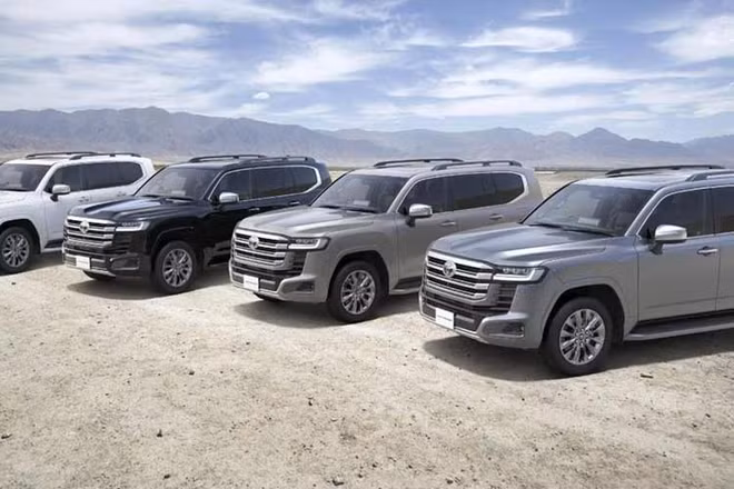 11-6134.jpg