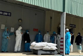 Hải Phòng kiểm tra toàn diện sản phẩm của Công ty Hạ Long vì dịch tả lợn