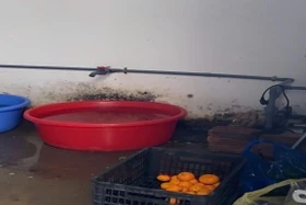  Công ty Nhật Anh bị phát hiện vi phạm trong cung cấp suất ăn bán trú