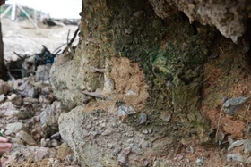 Cận cảnh cầu sông Lô móng lộ cốt thép rỉ sắt đang bị điều tra