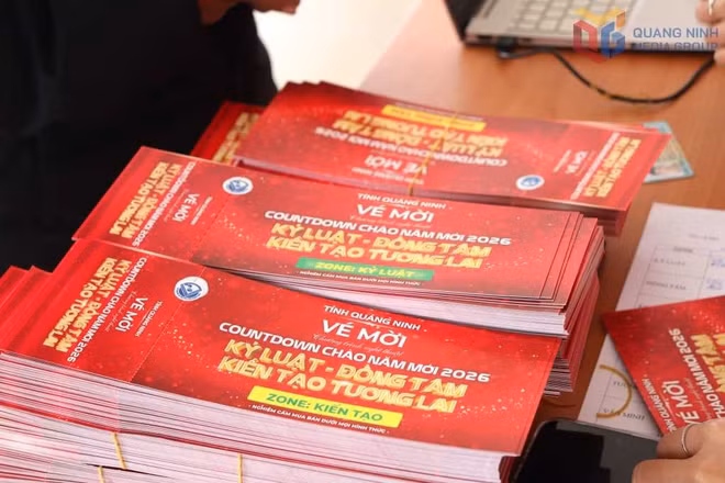batvd15291225nguoi-dan-hao-huc-doi-ve-countdown-chao-nam-moi-20267.jpg