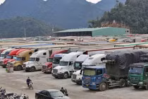 Thủ tướng chỉ đạo tháo gỡ vướng mắc trong triển khai Nghị định 46