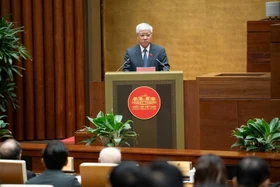 Những băn khoăn của cử tri về kinh tế, an ninh và môi trường Việt Nam