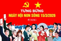 Ngày 15/3, hơn 78 triệu cử tri cả nước nô nức đi bầu cử