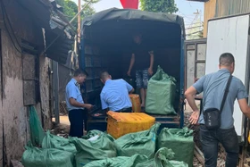 Tạm giữ 800kg trứng non, tràng gà đông lạnh không rõ xuất xứ