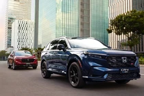 Doanh số Honda Việt Nam tháng 8/2025 - ôtô tăng, xe máy giảm