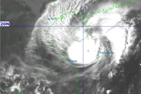 Bão số 12 cách Đà Nẵng 280km, trưa nay miền Trung bắt đầu mưa lớn