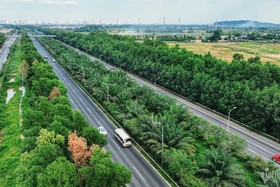 Không trồng cây xanh trên dải phân cách: Hết lãng phí... tai nạn giao thông?!