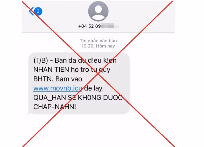 tin-2.png