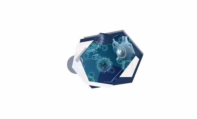 gn-8.png