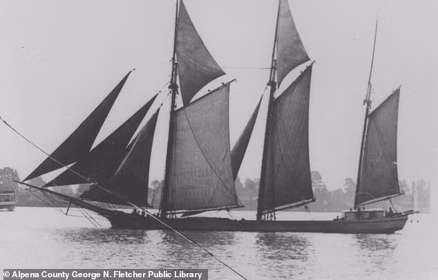 mattt-3.jpg