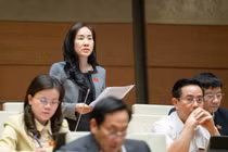 Cần có chính sách khuyến khích, ưu tiên và bảo vệ sàn thương mại điện tử Việt Nam