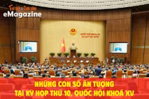 Những con số ấn tượng tại kỳ họp thứ 10, Quốc hội khoá XV