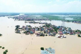 Cảnh báo lũ lớn trên sông Cầu, sông Thương kéo dài nguy hiểm
