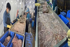 Công an Hà Nội phát hiện cơ sở chế biến hàng chục tấn lòng lợn không rõ nguồn gốc