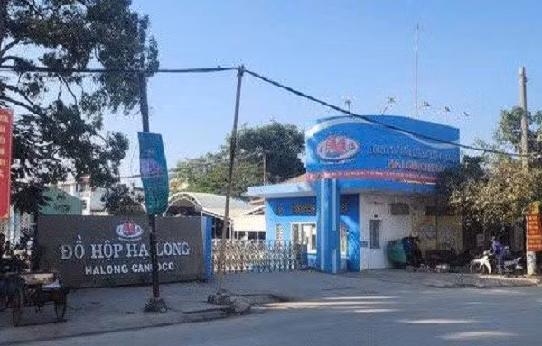 65555-5237.jpg