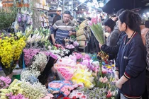 Chợ hoa lớn nhất miền Bắc tấp nập suốt đêm dịp cận Tết