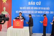 Chùm ảnh: Cử tri nô nức đi bầu cử sớm tại đặc khu Bạch Long Vĩ