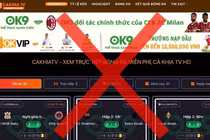 Bảo vệ bản quyền World Cup 2026: Thách thức lớn trong kỷ nguyên số
