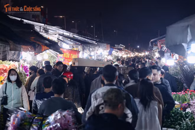 kto-tl_e1.jpg
